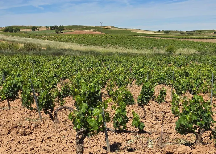 Vendégház Hostal La Horra La Horra